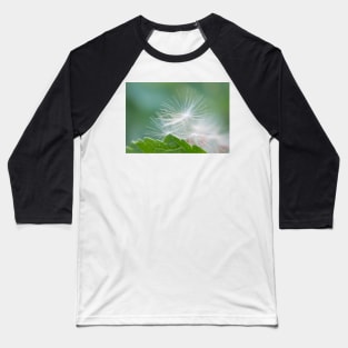 Dandelion Florets Baseball T-Shirt